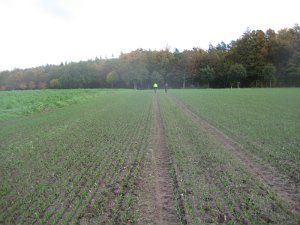CTF_Ratzeburg 026